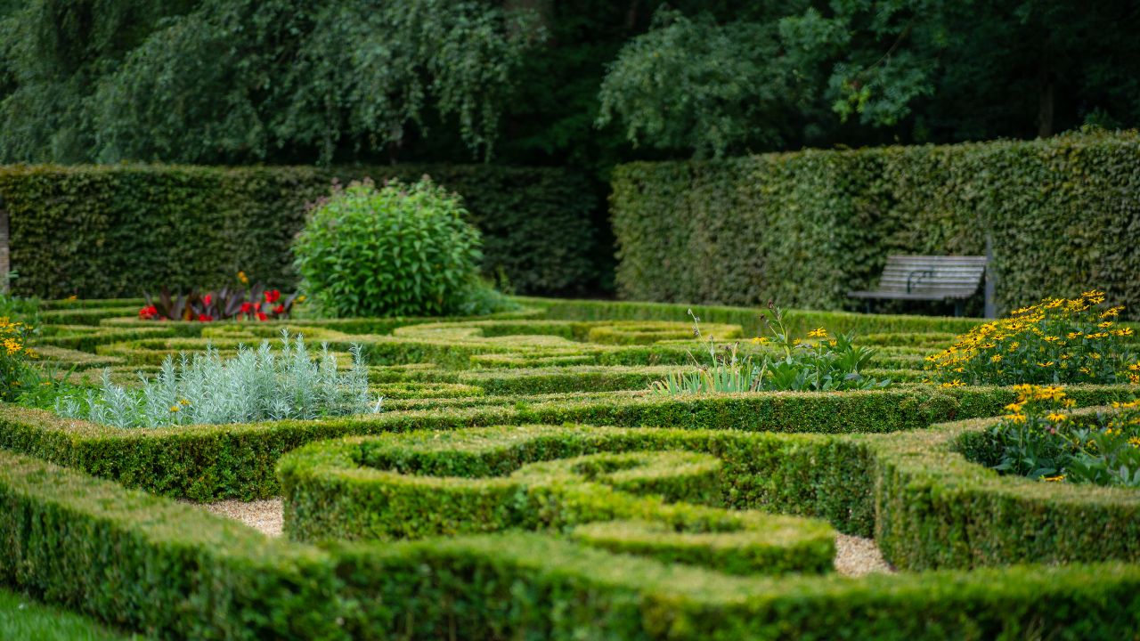 Hedge Trimming & Hedge Reductions