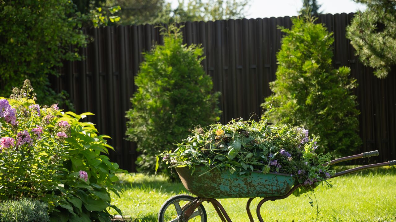 Clear Green Waste and Restore