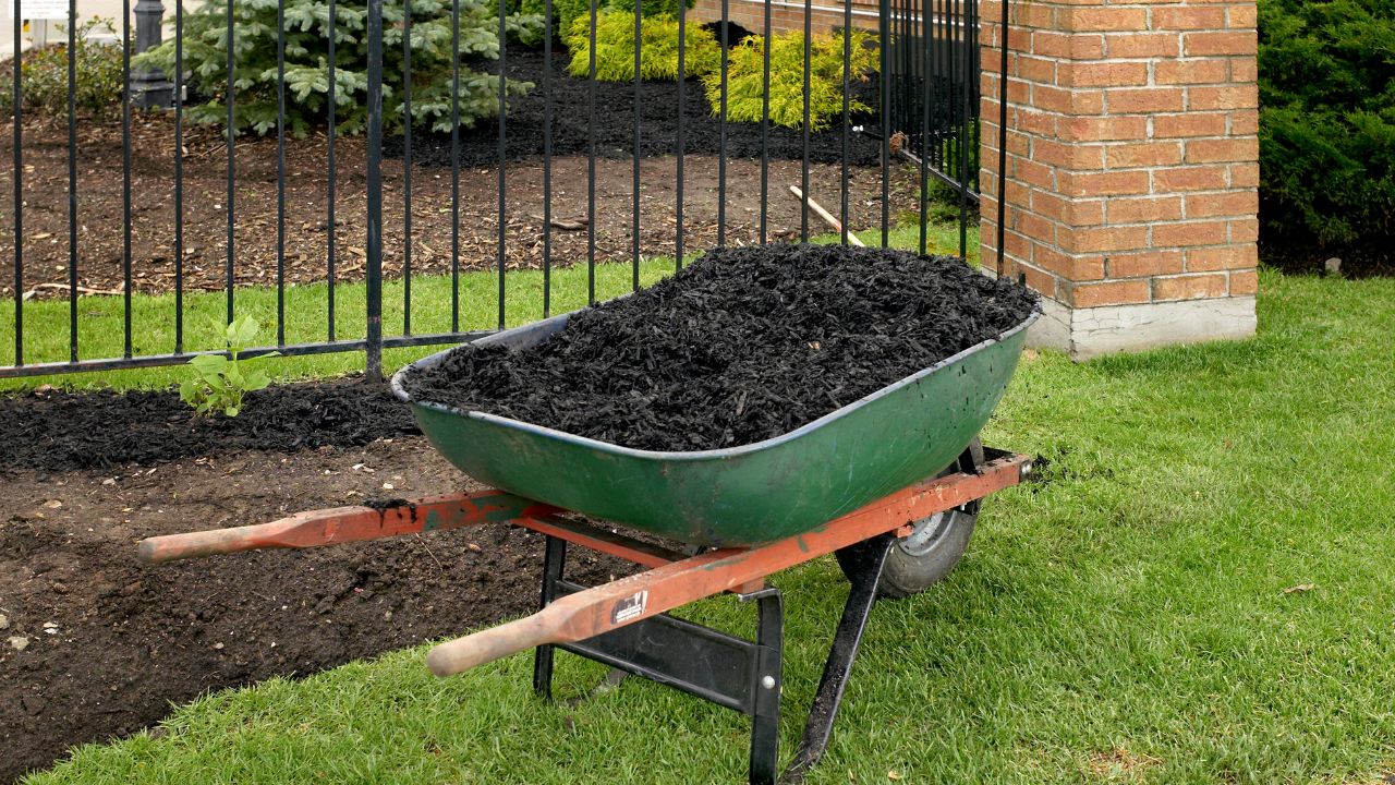 Mulching & Garden Tidy-Ups lawn care