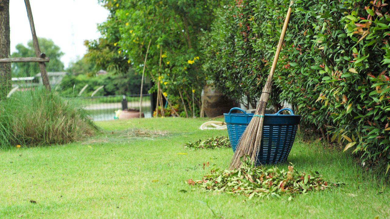 Overgrown Yard Clean-Ups